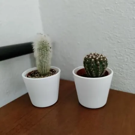 Apartamento O&a By The Sea Polychrono