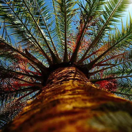 Διαμέρισμα O&a By The Sea Πολύχρονο