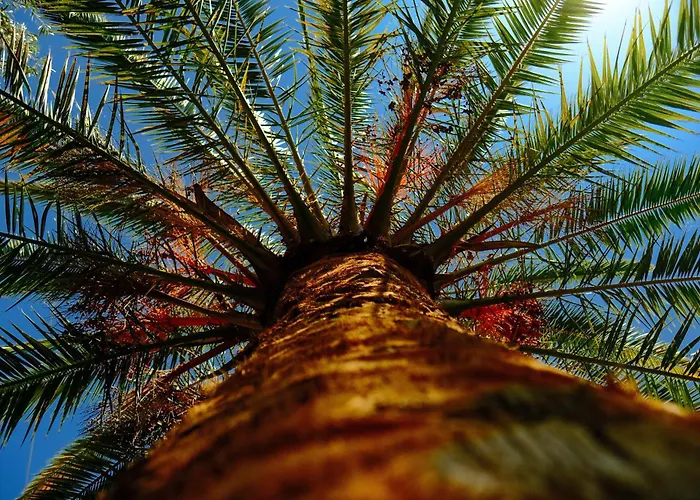 Apartamento O&a By The Sea Polychrono